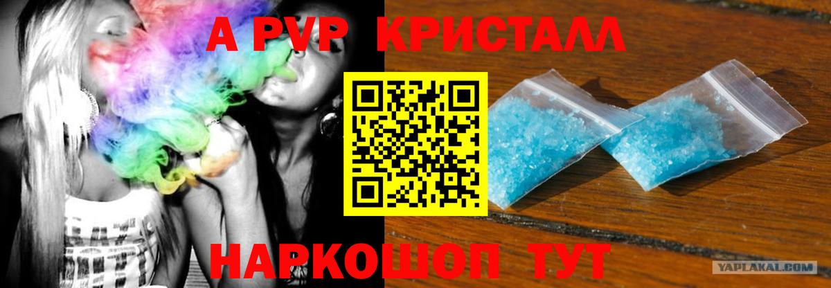 A PVP крисы CK Благовещенск