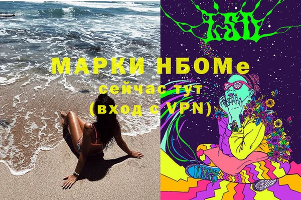 mix Богородицк