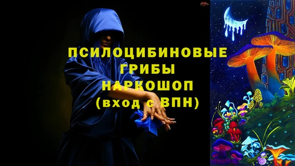 mix Богородицк