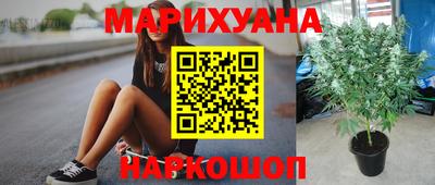 дмт Кимры