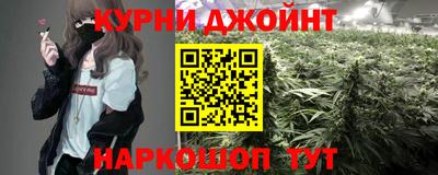 jwh Кингисепп