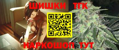 jwh Кингисепп