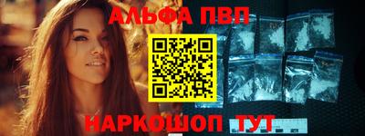 jwh Кингисепп